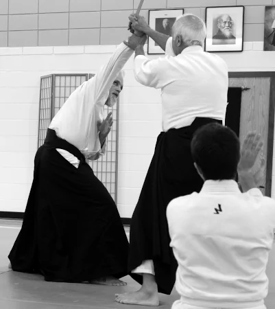 2 aikidokas, desarming an attack with a knife